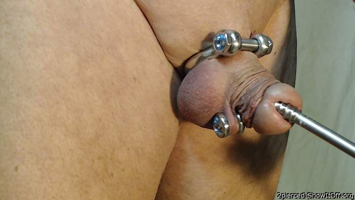 sounding my pierced cock