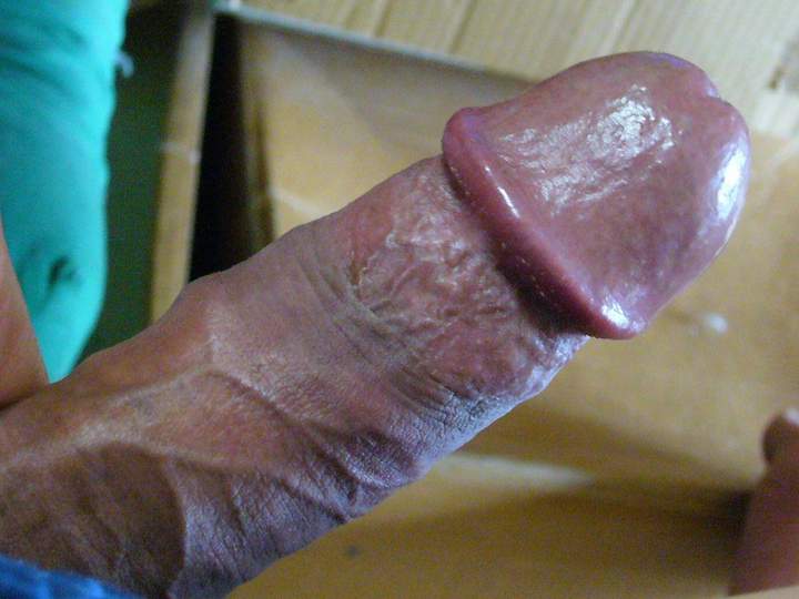 Photo of a bat from vowowhouse