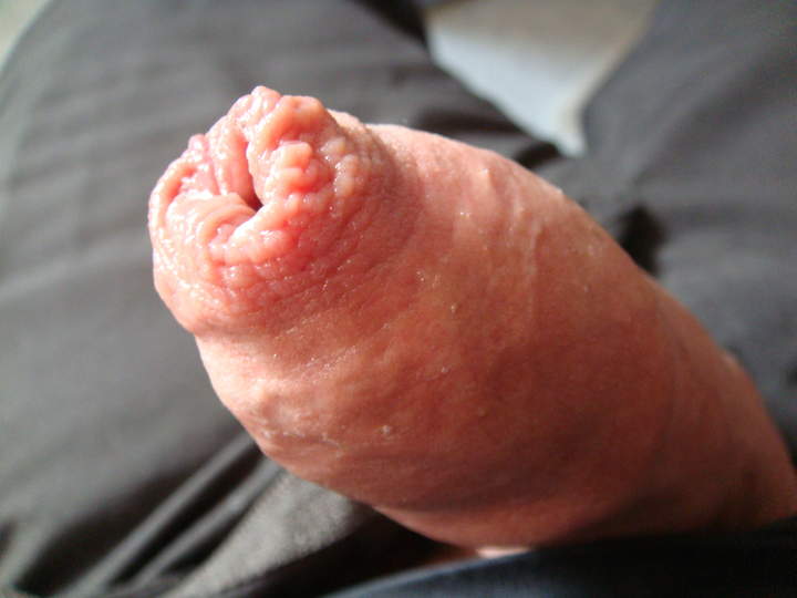 Photo of a snake from sivad666