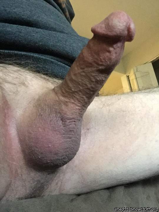 Photo of a schlong from shep11