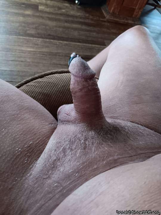 Photo of a horn from Donald