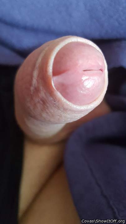 Wud luv to lick that man juice from ur sexy cock head  