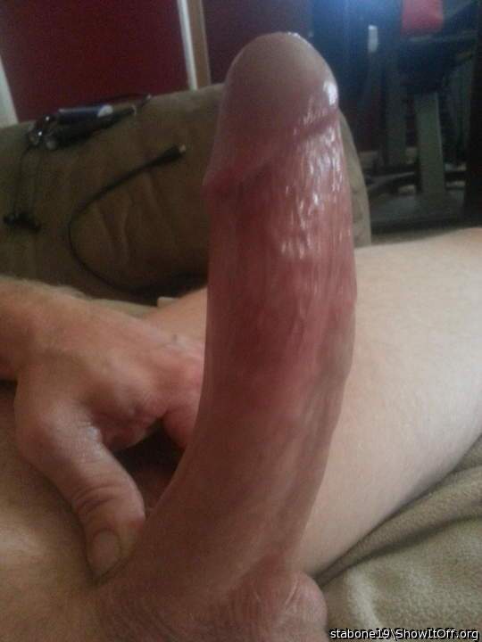 Photo of a snake from stabone19