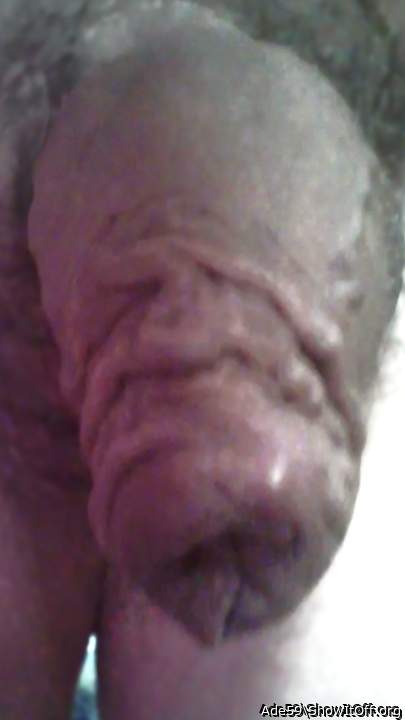 Photo of a dong from Ade59