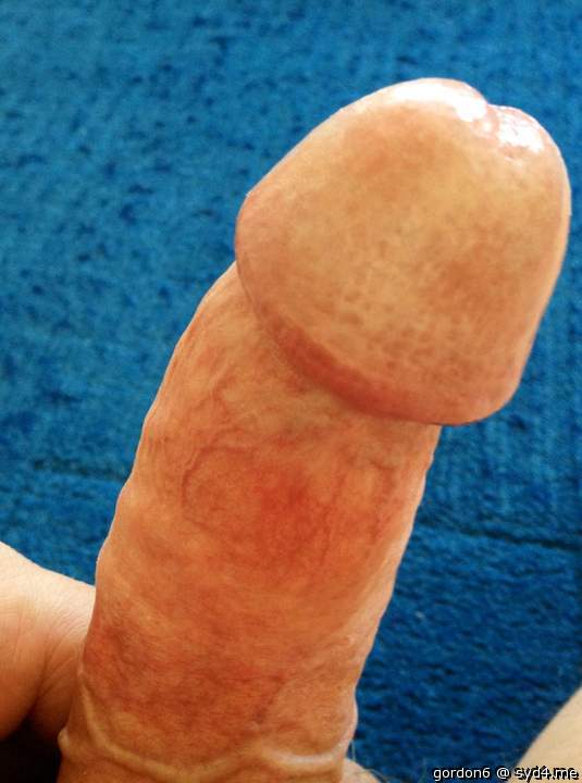 Photo of a third leg from gordon6