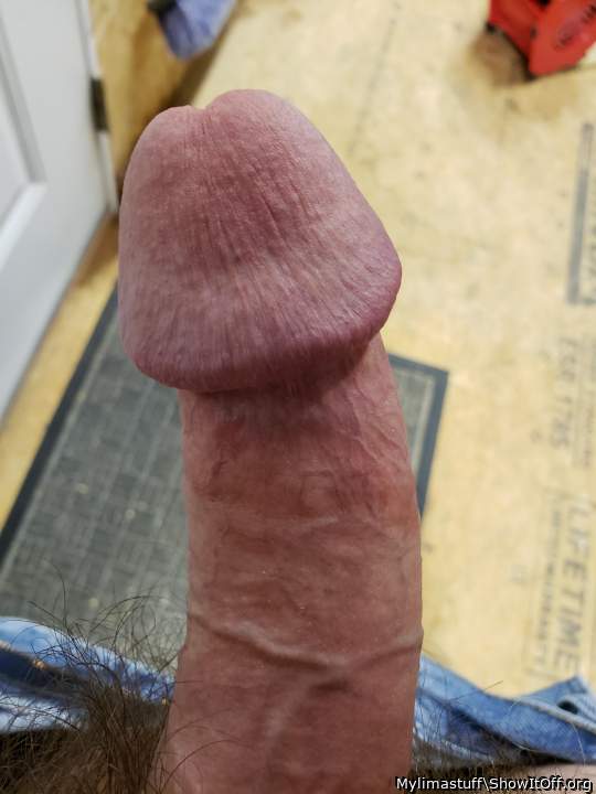 Photo of a prick from Mylimastuff