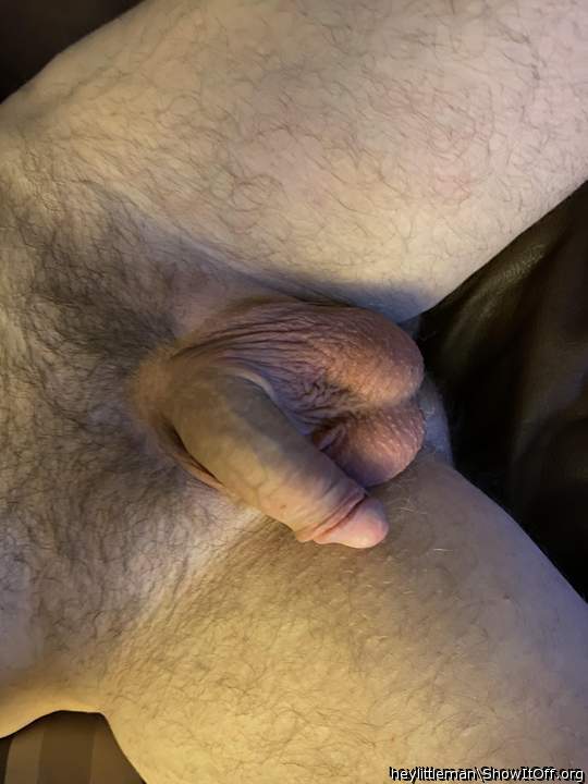 Photo of a middle leg from heylittleman