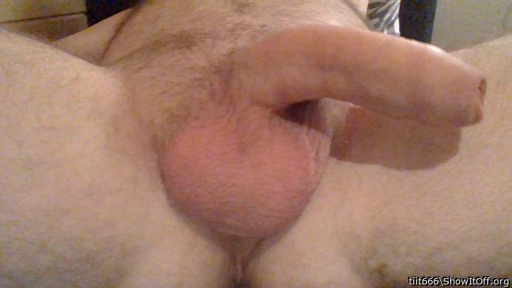 Photo of a penis from tiit666