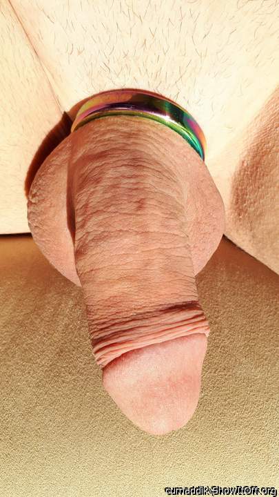 Hot sun rays on my horny cock