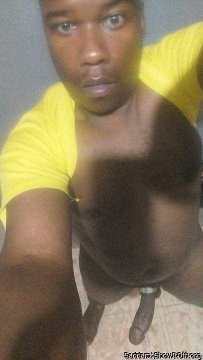 Photo of a rooster from Saddam