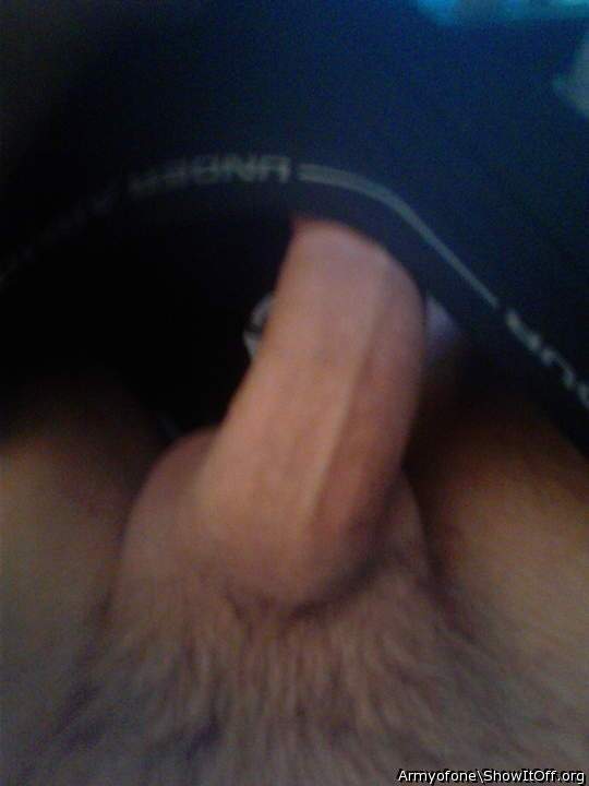 Photo of a horn from Armyofone