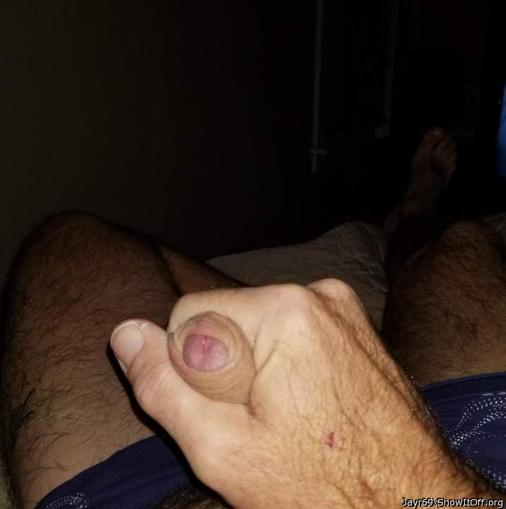 Photo of a bat from JayR69