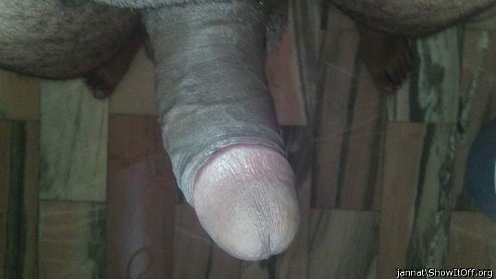 Photo of a lizard from jannat