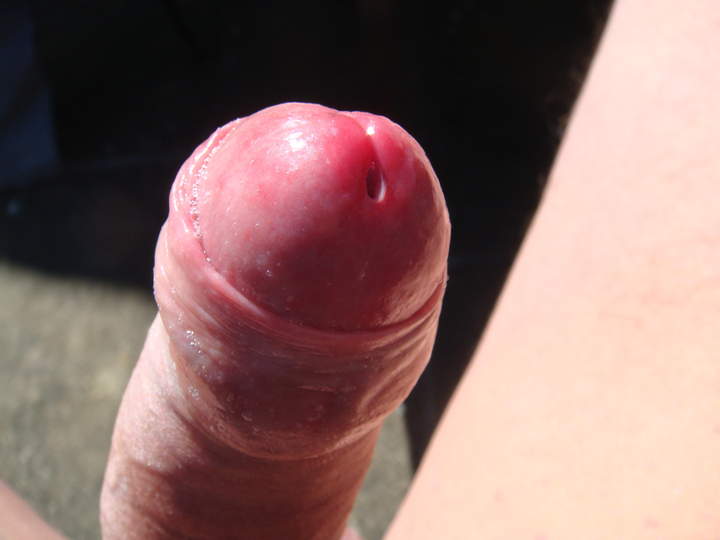 Photo of a lizard from sivad666