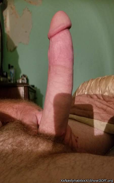 Photo of a rooster from XxNastyhabitsxX