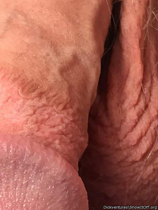 Close Folds