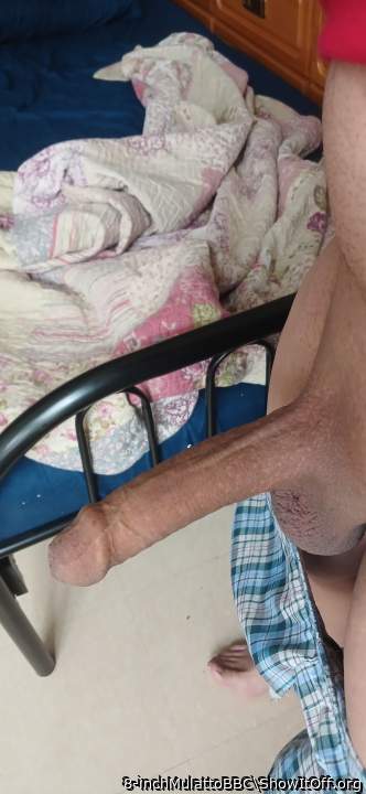 Photo of a thing from 8-inchMulattoBBC