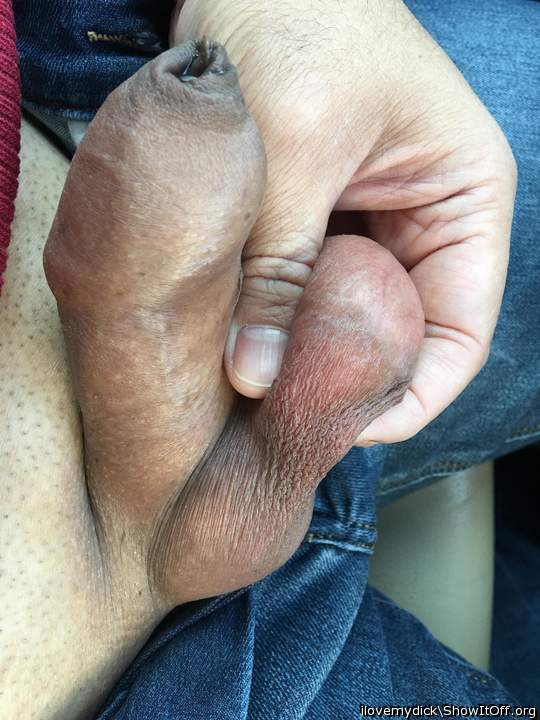Photo of a weasel from ilovemydick