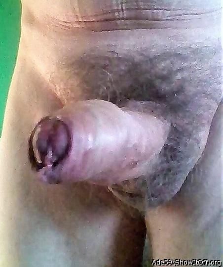 Photo of a bat from Ade59