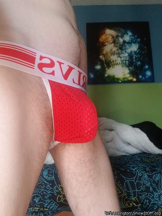 Photo of a pecker from MasterDeckard