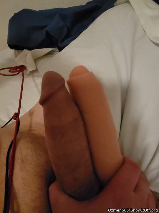 Photo of a weasel from Ozmen666