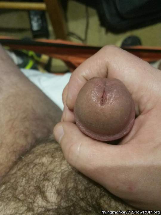 Photo of a third leg from flyingmonkey7