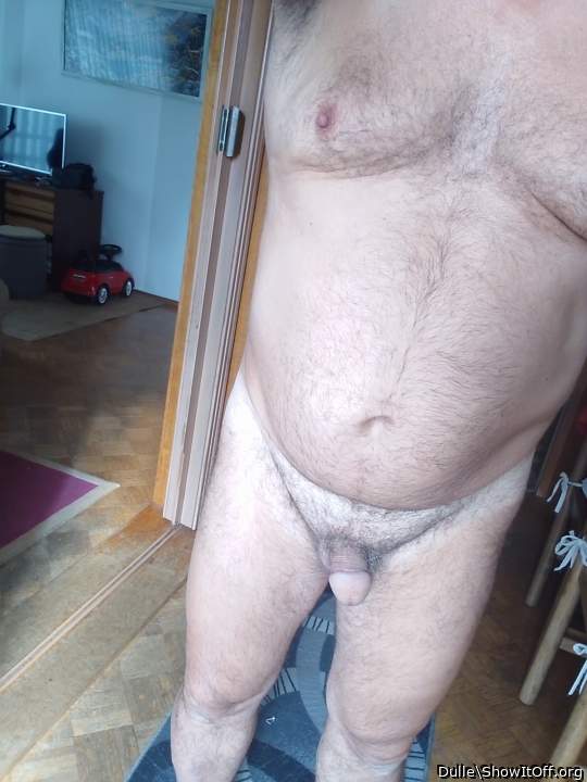 Photo of a ram rod from Dulle