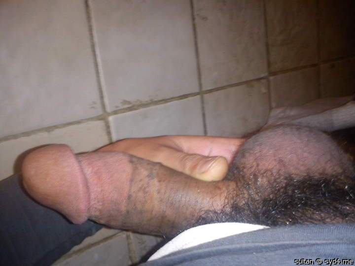 Photo of a middle leg from sultan