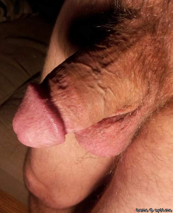 Photo of a wiener from ibeme