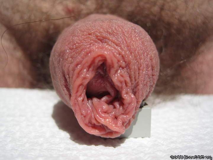 Is my tongue welcome in there?