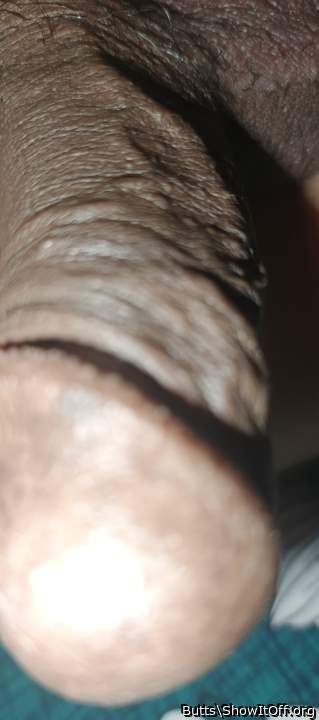 Photo of a bat from Butts