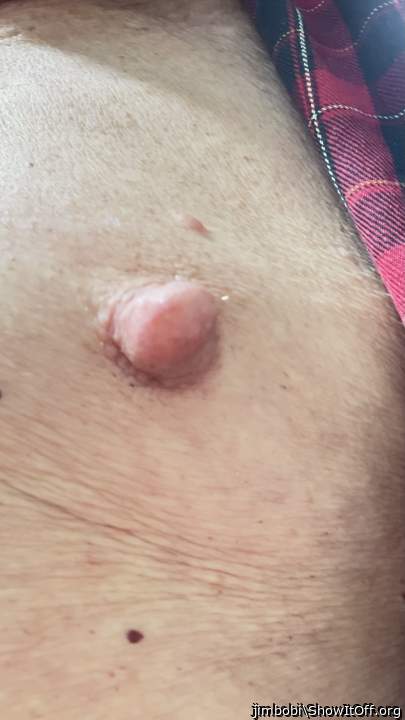 Photo of a bat from jimbobi