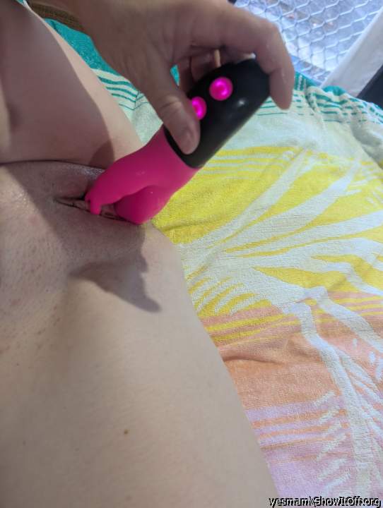 Photo of a snake from yesmam