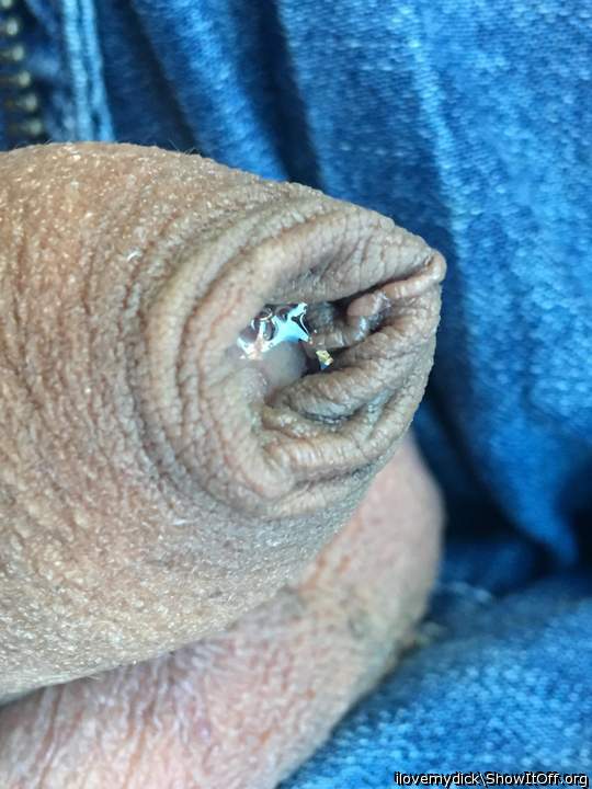 Photo of a cavalier from ilovemydick
