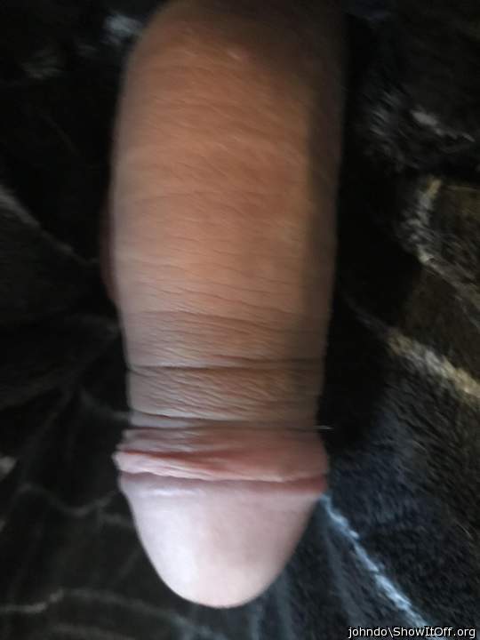 Photo of a cavalier from johndo