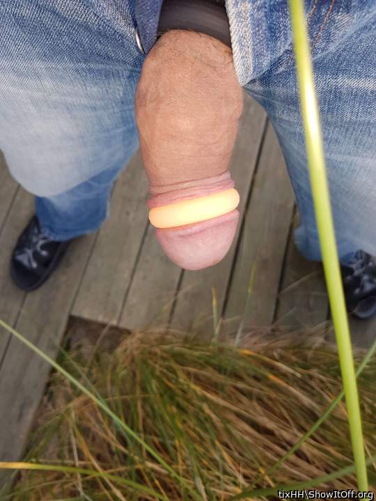 Photo of a cavalier from tixHH