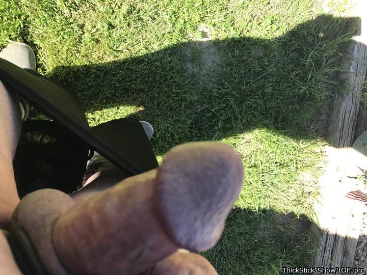 Photo of a bat from ThickStick