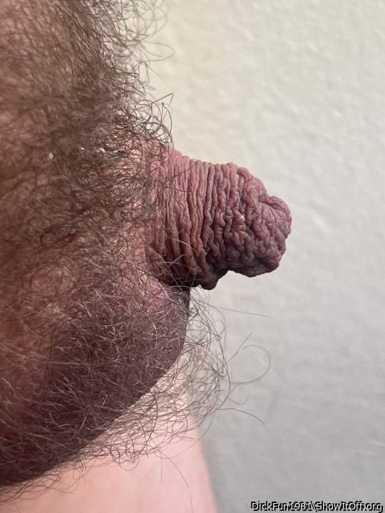 Photo of a power tool from DickFun1981