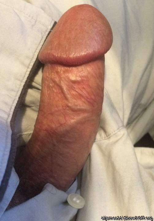 Photo of a weasel from aljames21