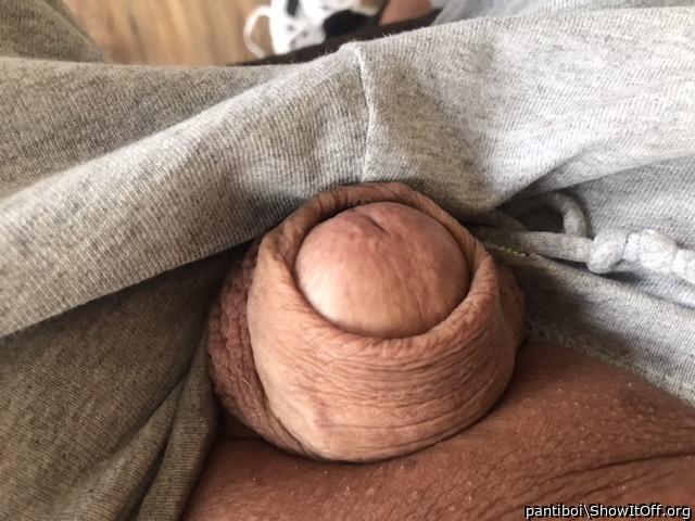 who likes to fondle this sissy peewee?
