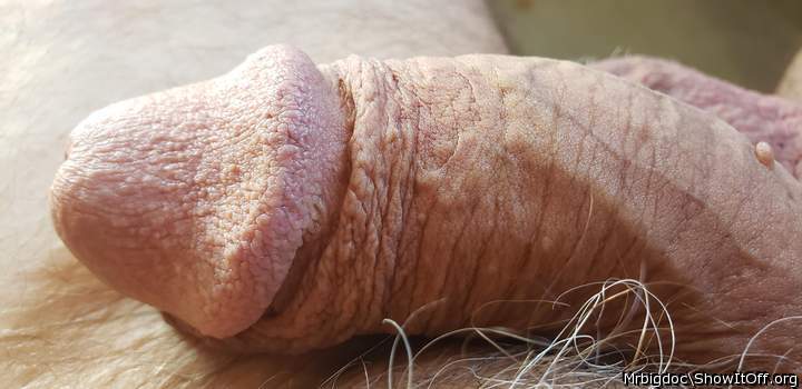 Perfectly circumcised exposing a tasty head.