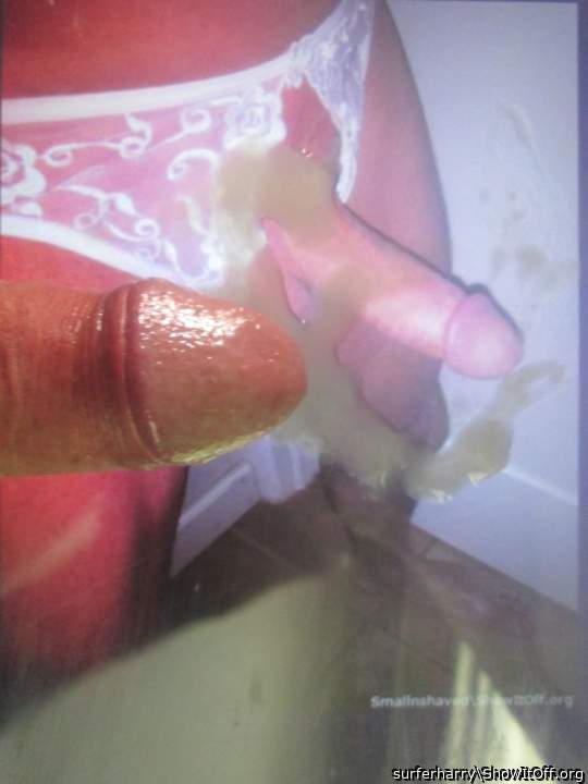 Photo of a bat from surferharry