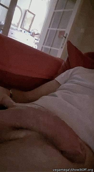 Photo of a dick from vegamega