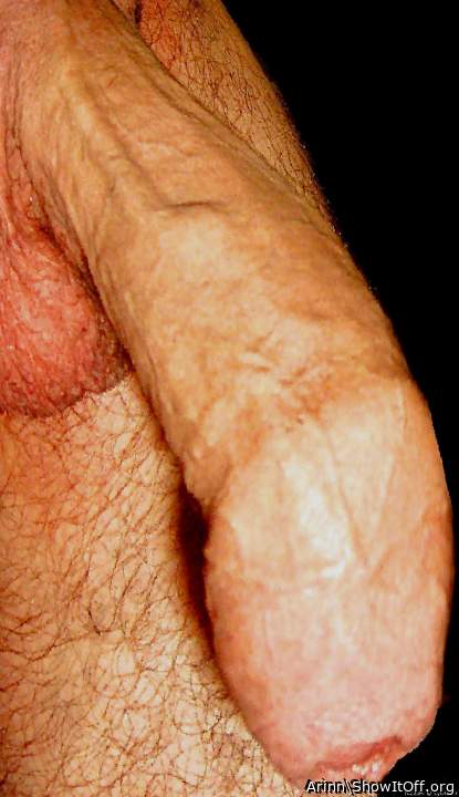 Photo of a cock from Arinn