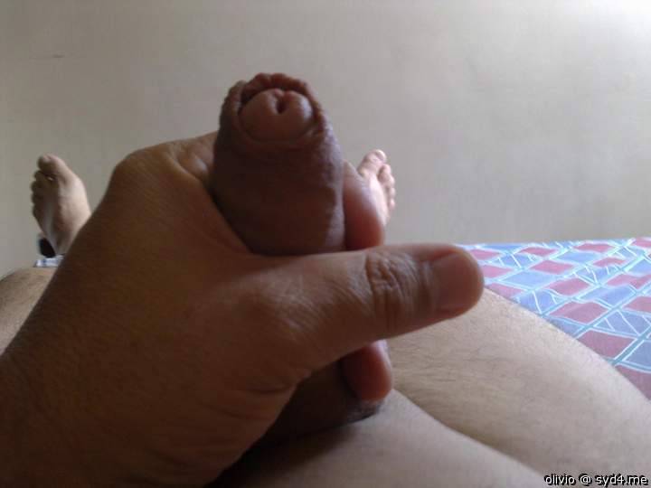 Photo of a weasel from olivio