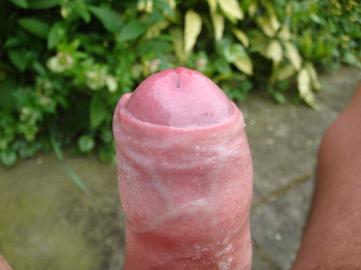 Photo of a cavalier from sivad666