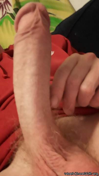Fucktoy likes what she sees and wants a ride &#128539;