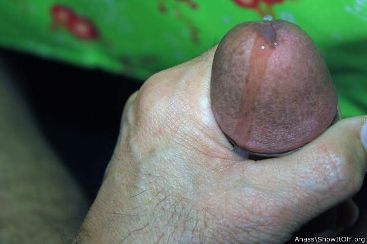 Photo of a middle leg from Anass