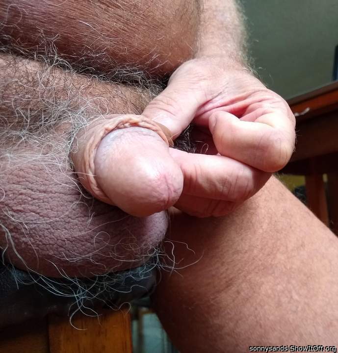 Photo of a snake from sonnysands