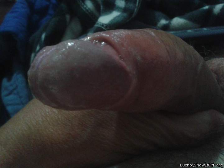 Photo of a pecker from Lucho
